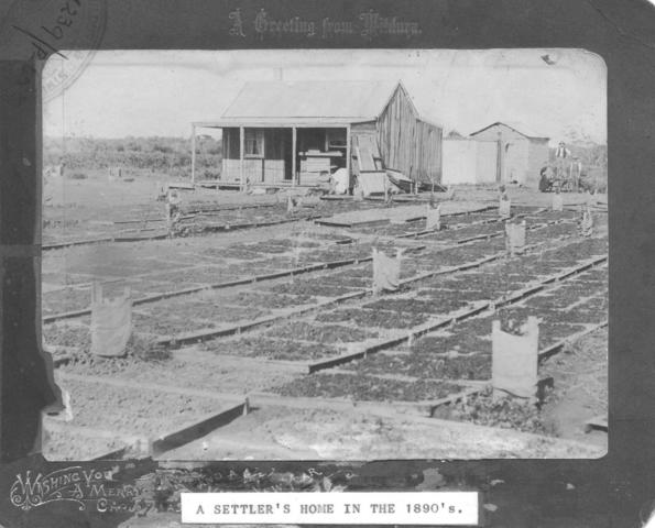 Settlers home, Mildura.