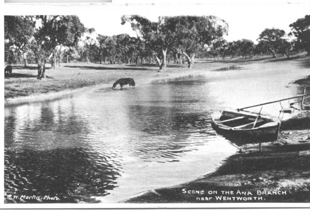 Scene on tha Ana Branch near Wenthworth NSW, Mildura.