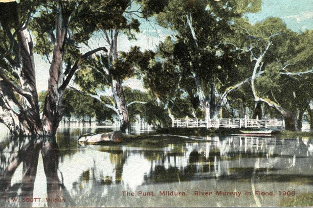 The Punt and Murray River in Flood, Mildura. 