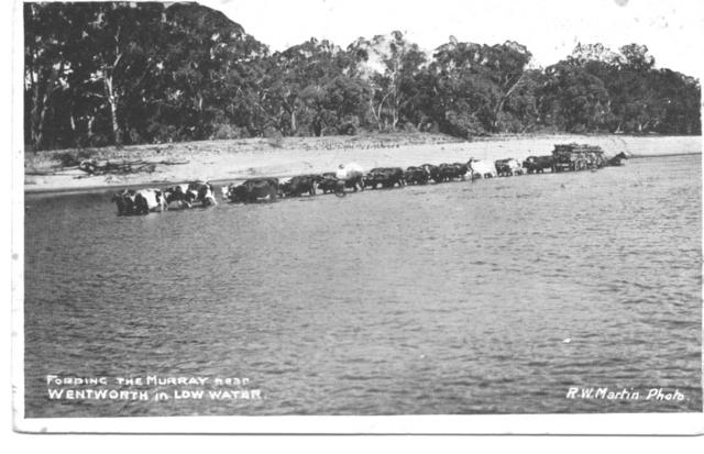 Fording the Murray Wenthworth, Mildura.