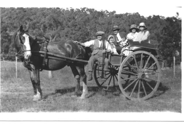 Family with Horse and Jinker, Mildura.