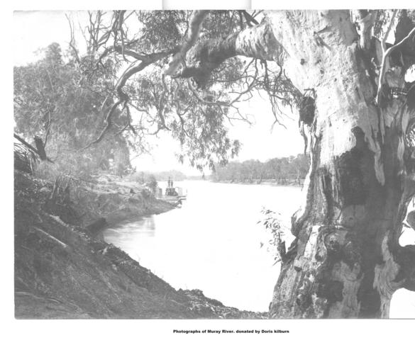 Murray River, Donated by Doris Kilburn, Mildura.
