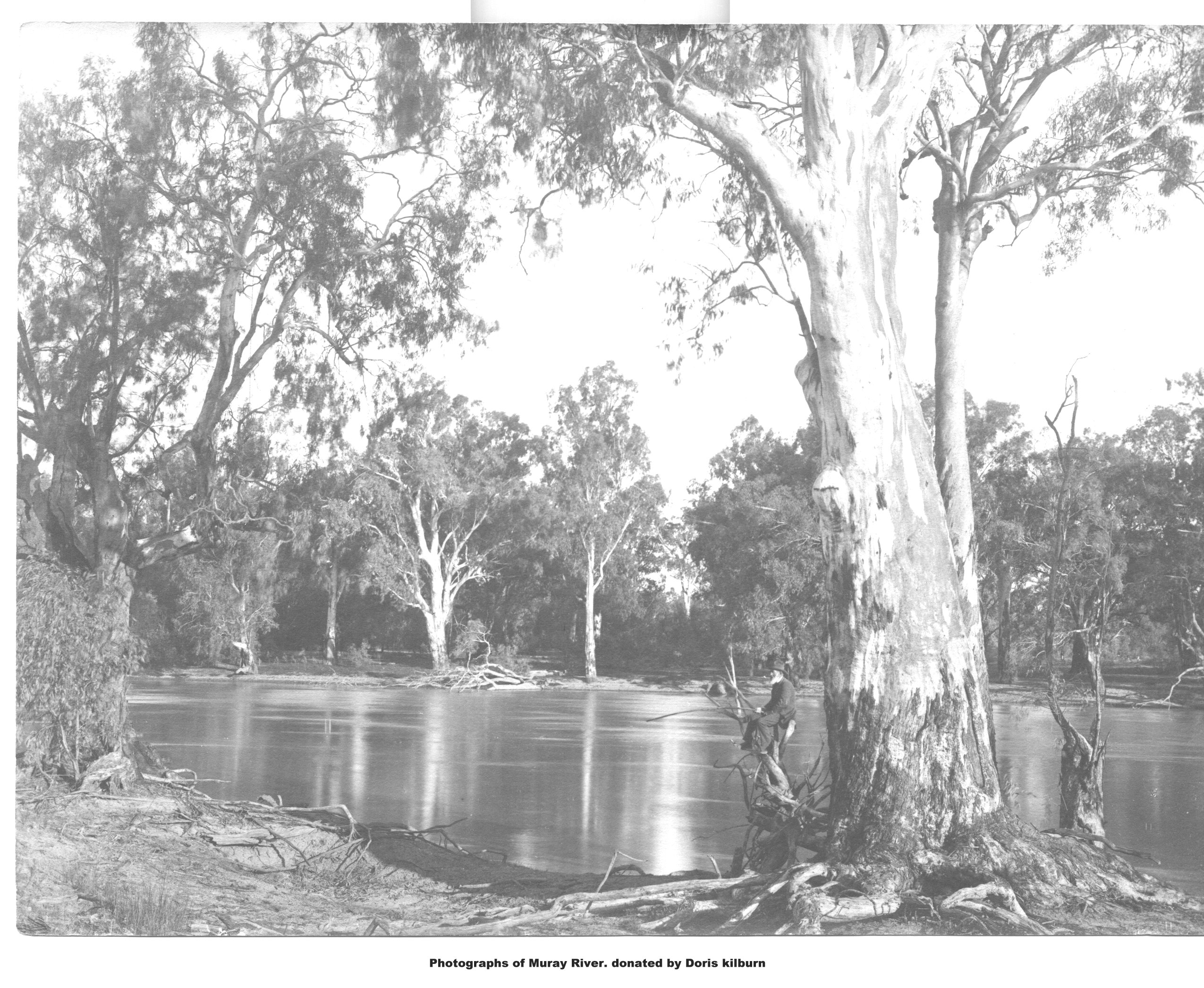 Murray River, Donated by Doris Kilburn, Mildura.