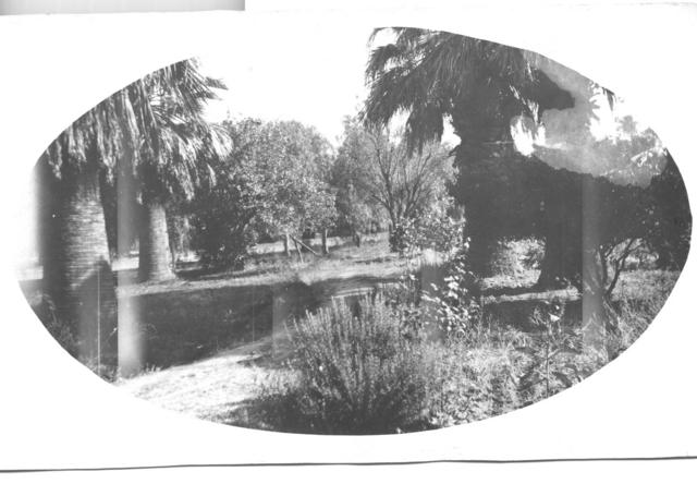 Gardens, Mildura