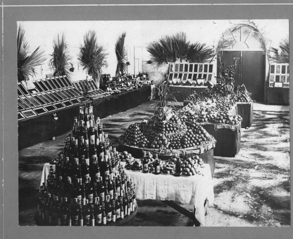 Fruit Display, Mildura