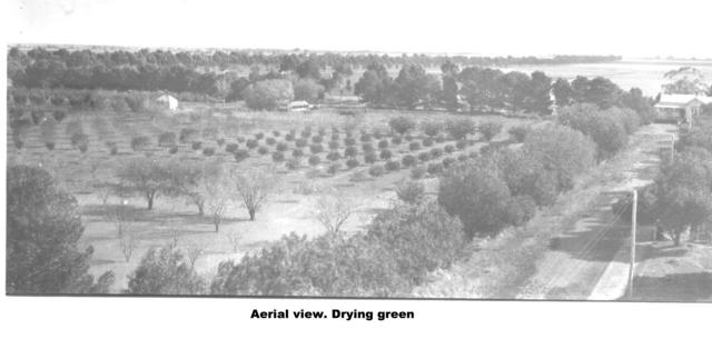 Ariel View of Drying Green, Mildura.
