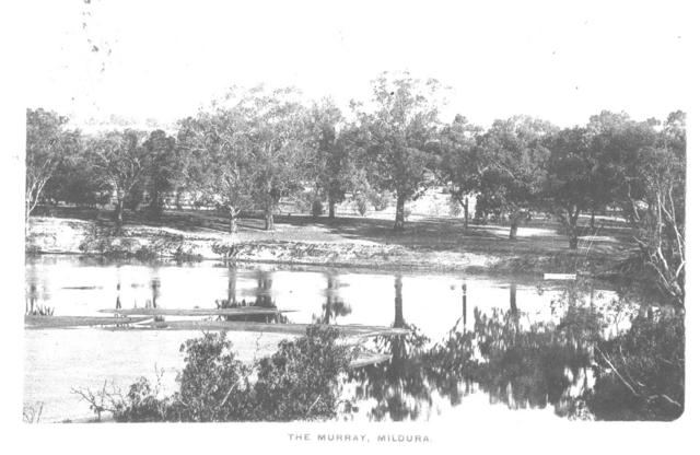 The Murray River, MIldura.