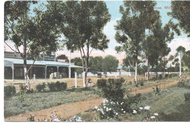 Deakin Ave, Mildura.
