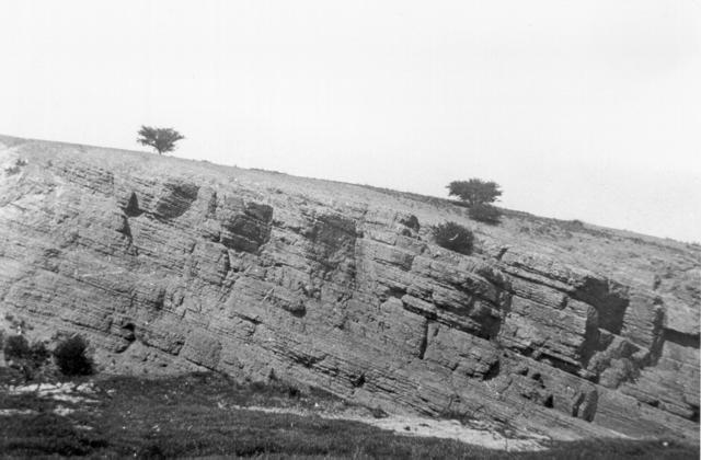  Land Formation Moonee Ponds Creek