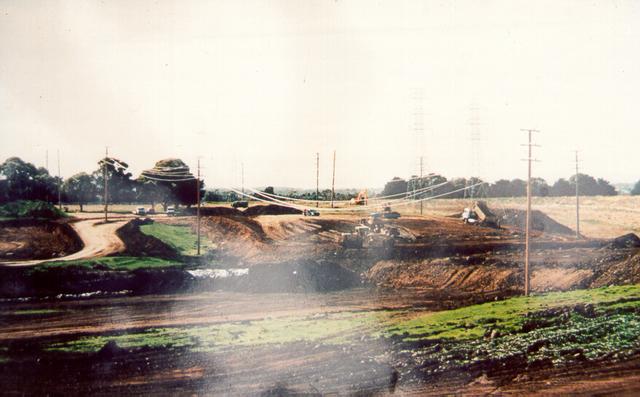  Merlynston Creek Habitat