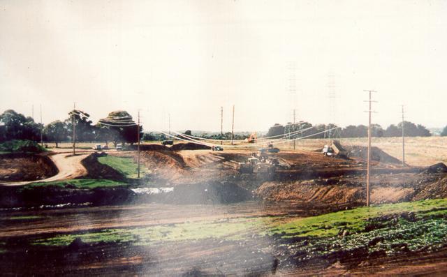  Merlynston Creek Habitat