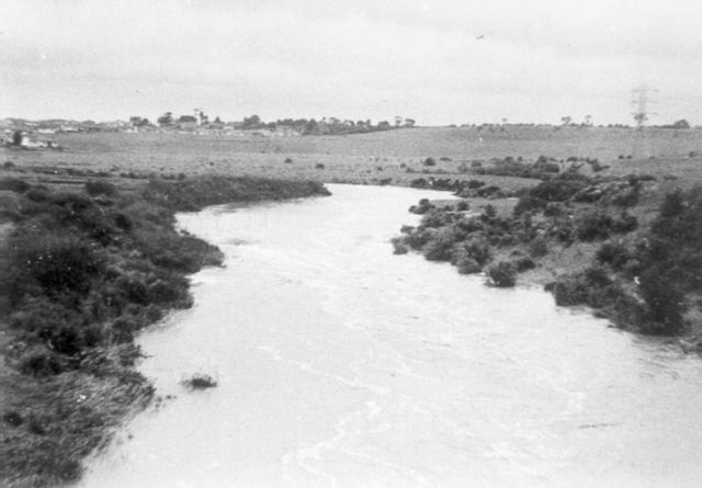  Merri Creek in Flood. Murray Rd. 1950s