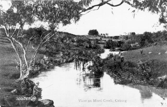  View of Merri Creek