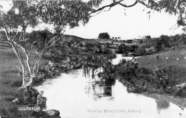  View of Merri Creek