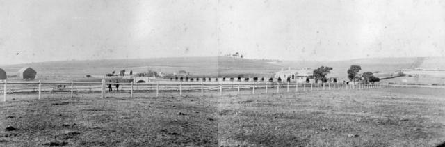  John Peck's Farm 'Lebanon'