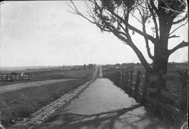  Moreland Rd. Looking Towards Essendon