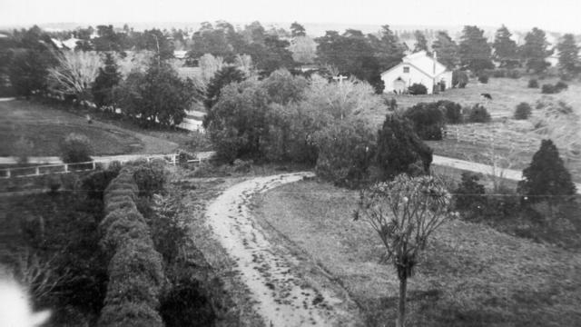  Over the Bull Shed and Glenroy