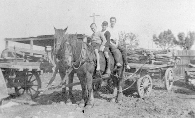  Benallick's Delivery Lorry and Horses