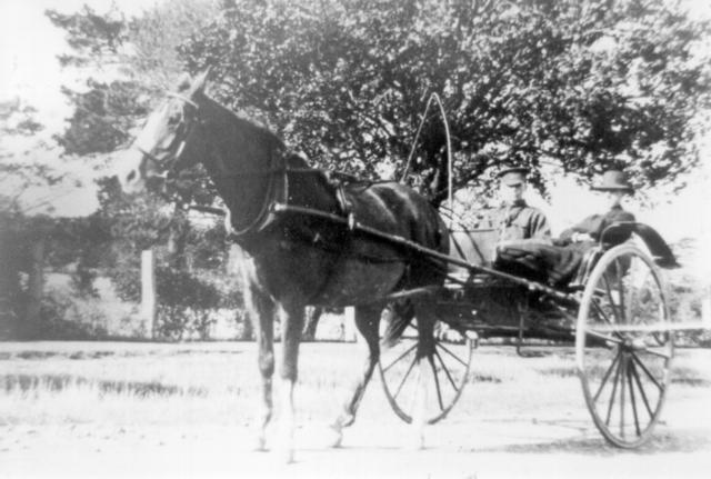  Horse and Gig. Glenroy Rd.. Glenroy