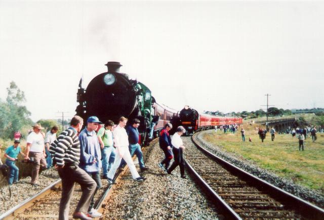  Steam Trains on the Trestle Bridge