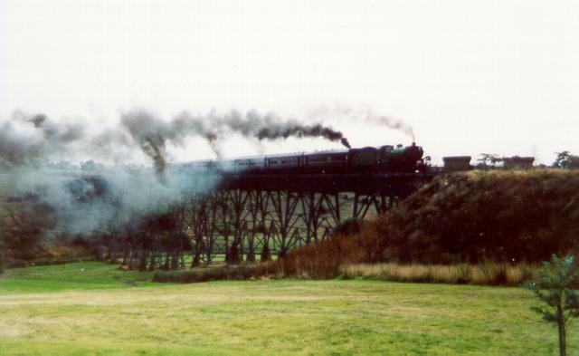  Steam Trains on the Trestle Bridge