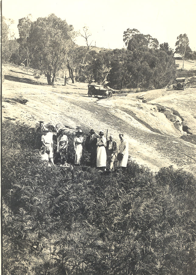 Group of people in bracken ferns