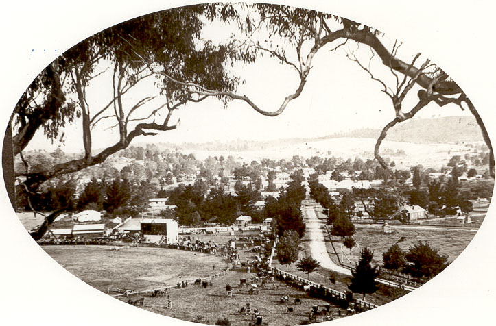 Alexandra showgrounds from old Josephine Cutting Road
