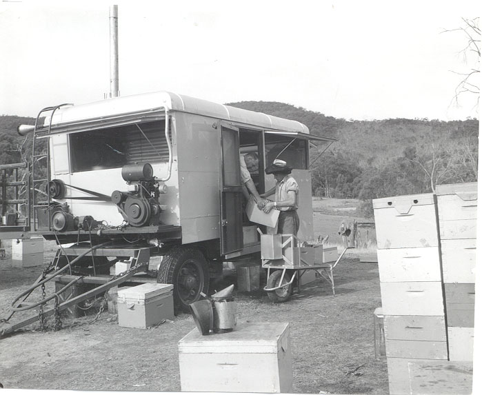 Apiarists in Alexandra Disctrict.