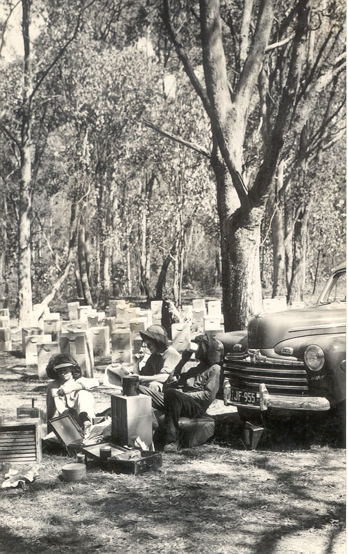 Apiarists in Alexandra District