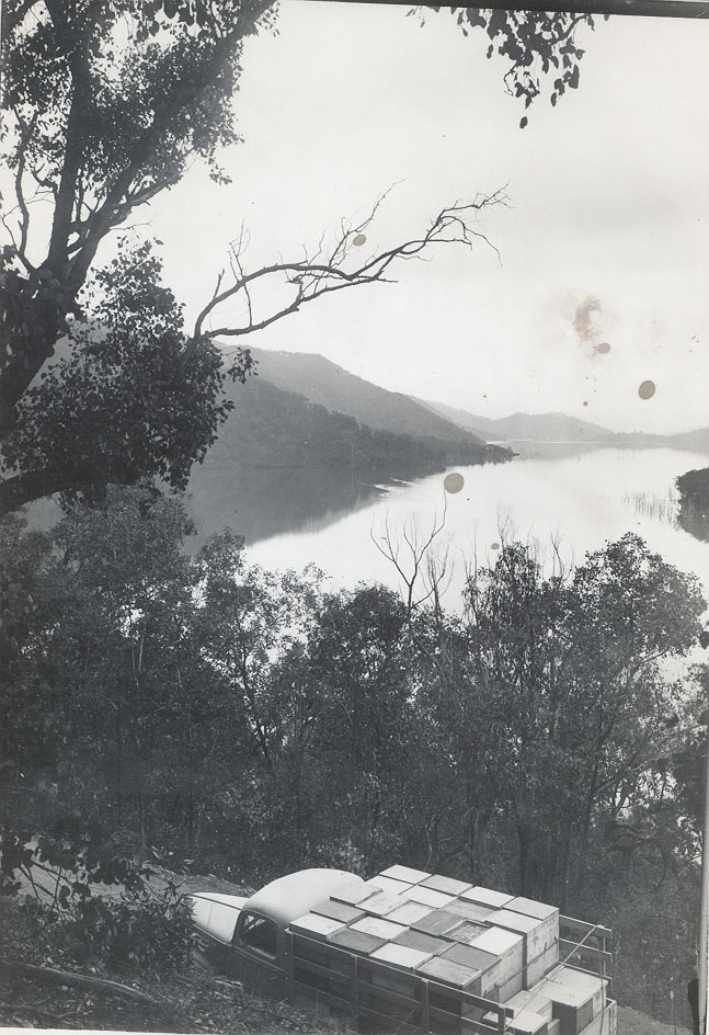 Stock truck on road near Eildon Weir