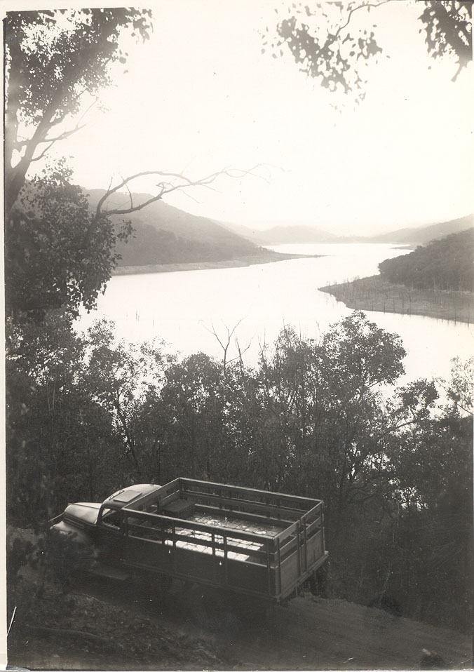 Stock truck on road near Eildon Weir