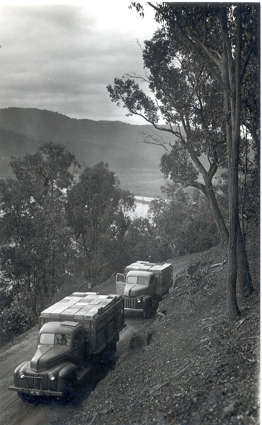 Two stock trucks on road near Eildon Weir