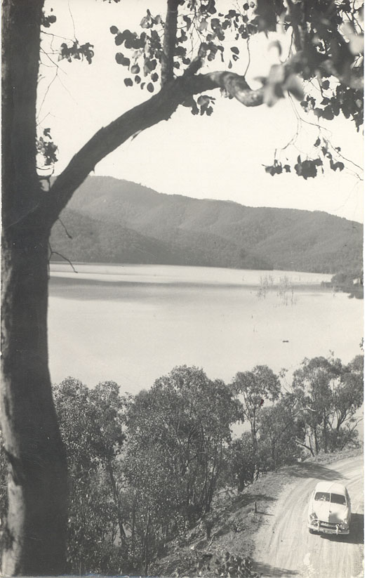 On the road near Eildon Weir