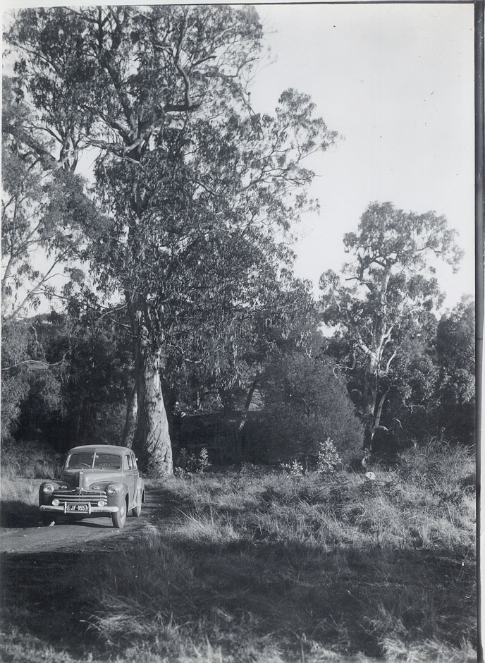 Ford car, Alexandra