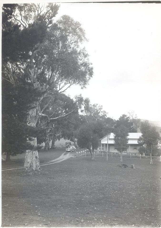 Farmhouse, Alexandra District