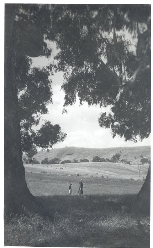 Farm land, Alexandra District.