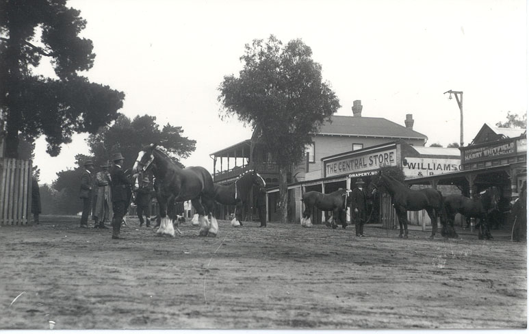 Parade Day, Alexandra