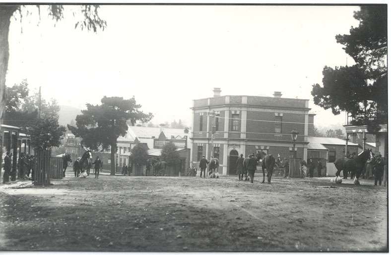 Parade day, Alexandra