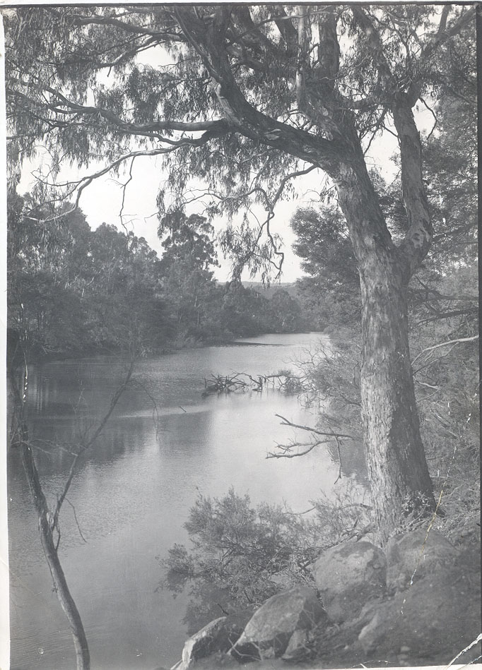 Goulburn River, Alexandra
