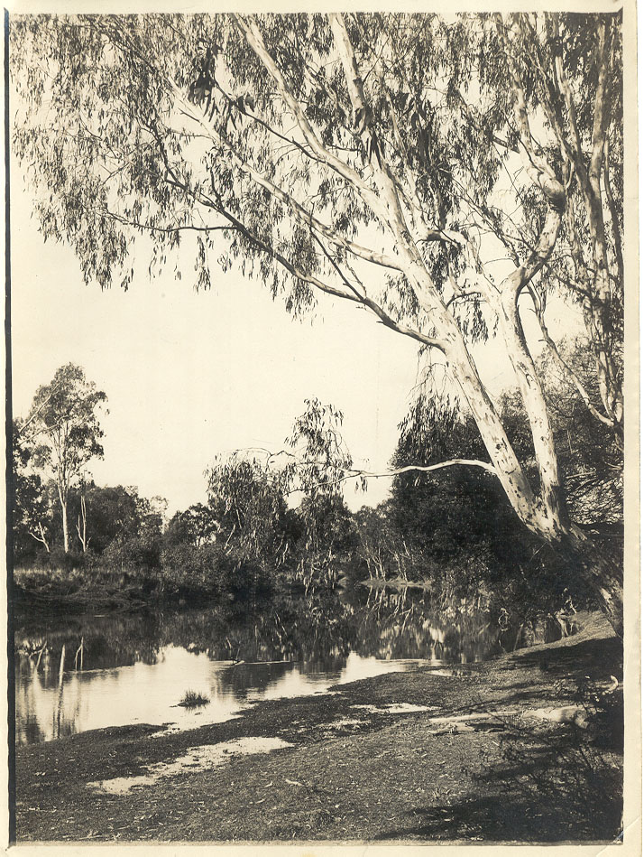 Riverflats, Alexandra