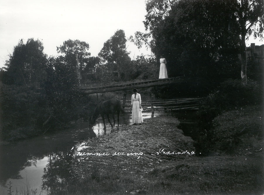 Summer evening, Alexandra District