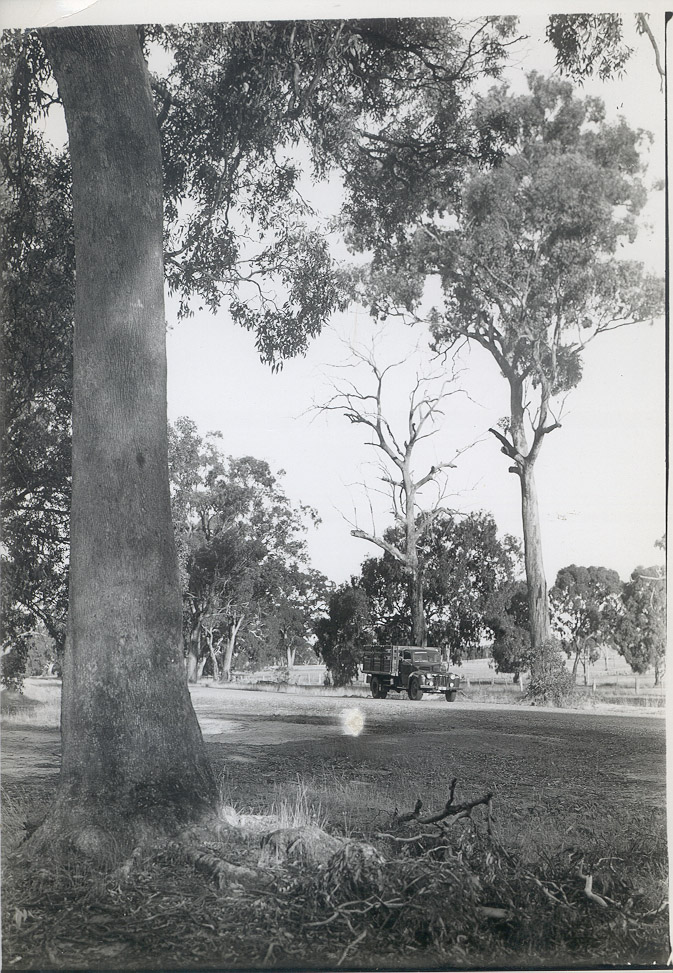 Truck on road near Alexandra