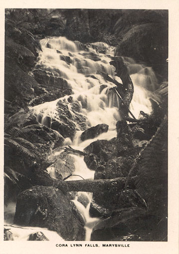 Cora Lynn Falls, Marysville.