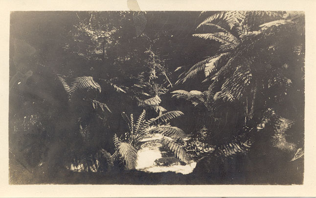 Meeting of the waters