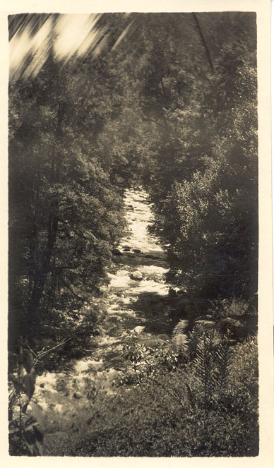 River scene, Marysville