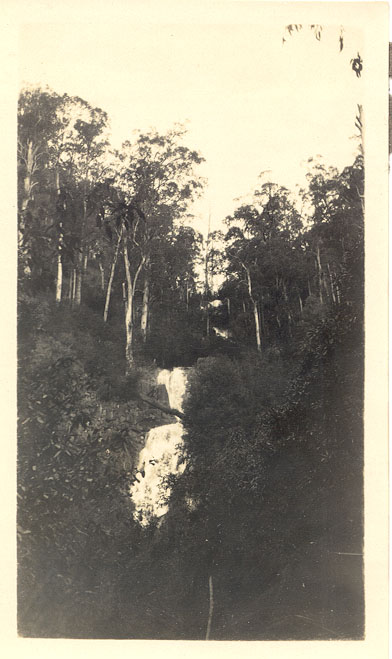 Steavenson falls, Marysville.
