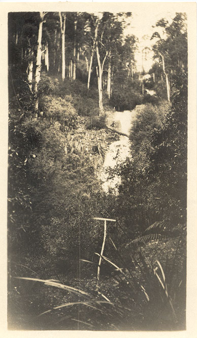 Steavenson falls, Marysville