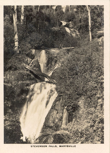 Steavenson falls, Marysville