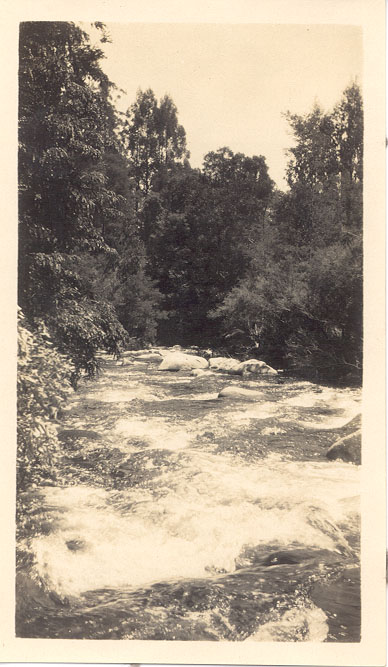 Taggerty river, Marysville