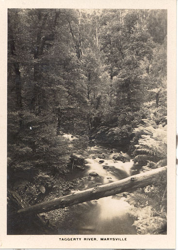 Taggerty river, Marysville